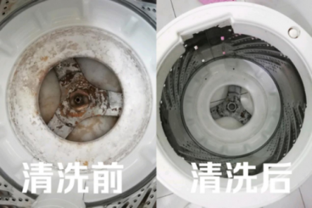 皮膚病是這么來的！洗衣機五年暗藏污垢1公斤