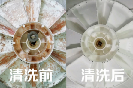 皮膚病是這么來的！洗衣機五年暗藏污垢1公斤