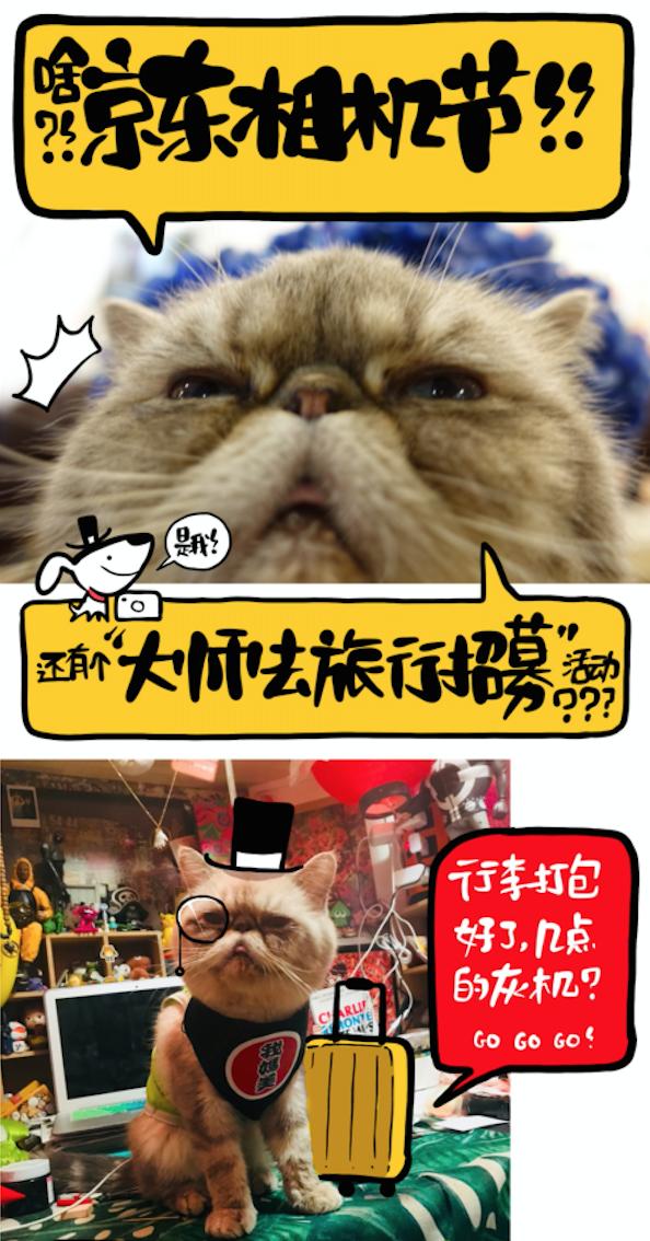 京東相機(jī)節(jié)“大師帶你去旅行”活動(dòng)到底多誘人？貓咪都嚷著參加
