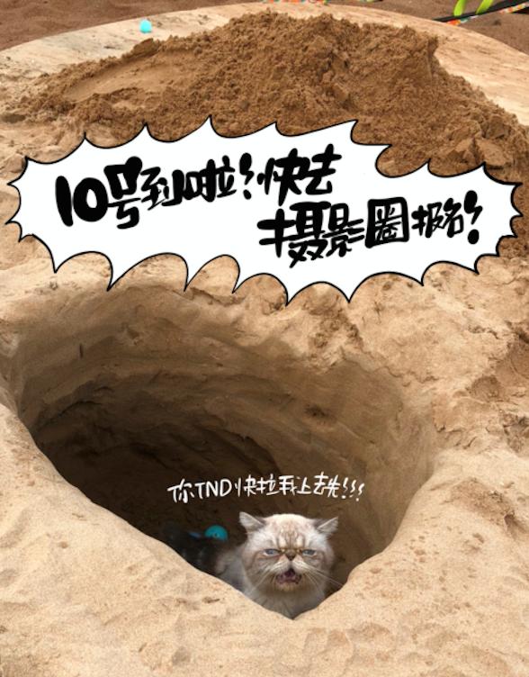 京東相機(jī)節(jié)“大師帶你去旅行”活動(dòng)到底多誘人？貓咪都嚷著參加