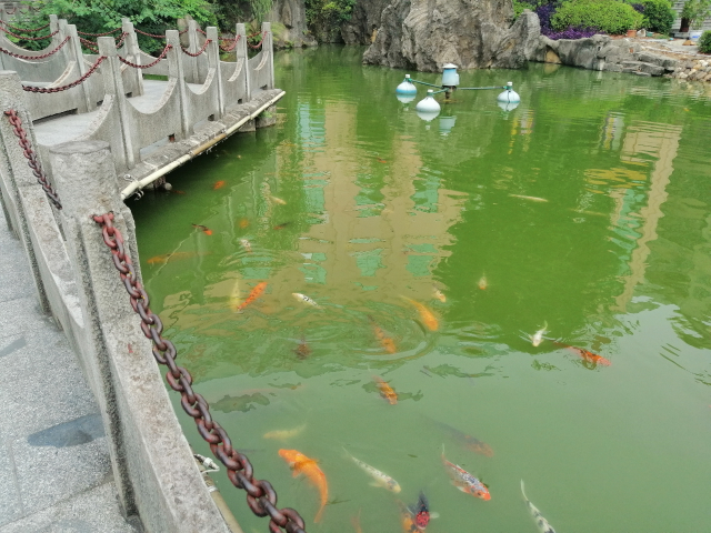 顏值與性能并存，還有AI四攝，華為麥芒7來了