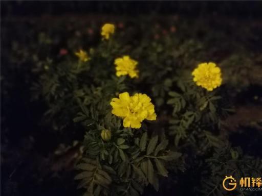AI加持到底能帶來什么？ 華為麥芒7評測