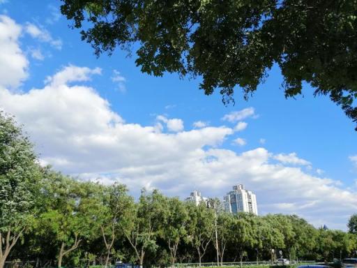 華為麥芒7評測：高顏值/長續(xù)航/拍照強(qiáng)