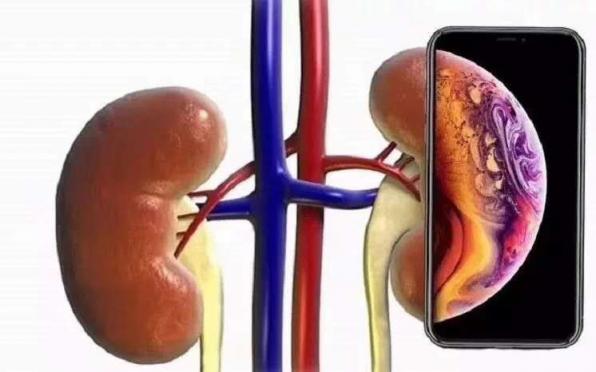 新國民旗艦聯(lián)想Z5憑什么吊打iPhone XR，這一點千萬不能忘