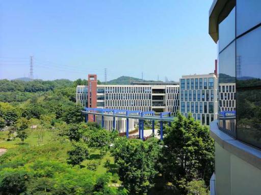 華為麥芒7評測：AI四攝，記錄年輕人的精彩生活