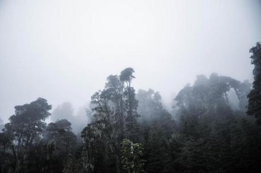 波濤？山路？風(fēng)雨兼程，麥芒無懼挑戰(zhàn)