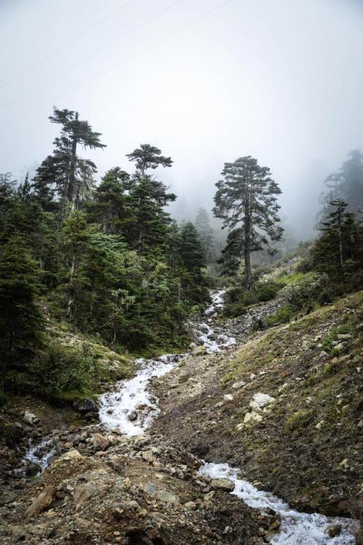 波濤？山路？風(fēng)雨兼程，麥芒無懼挑戰(zhàn)