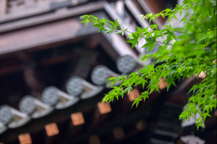 你不該錯(cuò)過(guò)的哲學(xué)課堂 簡(jiǎn)一攜手文化大家呂世浩杭州論道
