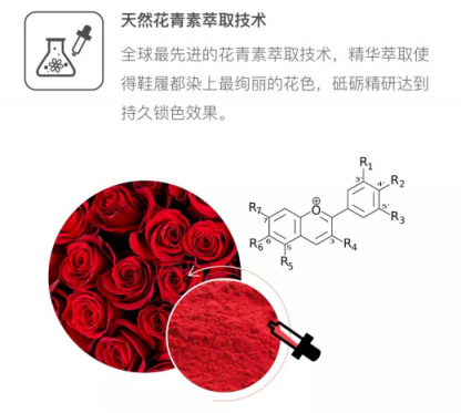 Everugg集香氣與帥氣于一身的鞋子 還有什么理由拒絕？