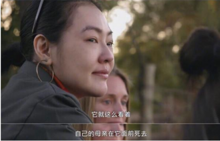 《奇遇人生》中的真實(shí)生活 快剪輯開啟獨(dú)特的探索之旅