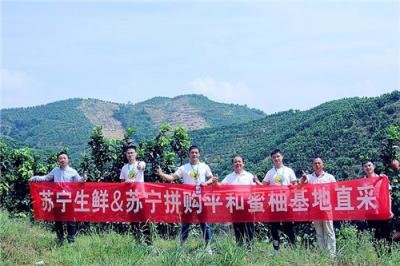 蘇寧928超級(jí)拼購(gòu)日，蜜柚單日銷量突破30萬(wàn)單