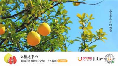蘇寧928超級(jí)拼購(gòu)日，蜜柚單日銷量突破30萬(wàn)單