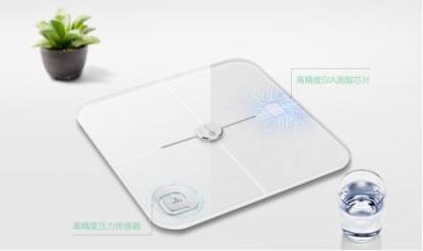 測的參數(shù)越多越好嗎？聯(lián)想體脂秤對比小米/榮耀體脂秤