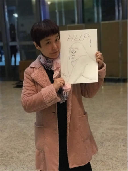 盧旺達大使館聯(lián)合侶行、西瓜視頻舉辦“盧旺達山地大猩猩畫展”
