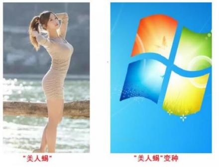 病毒也過萬圣節(jié)？僵尸男孩、美人蝎……誰最擅長偽裝？