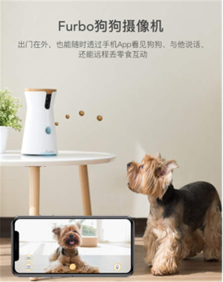 北美暢銷的養(yǎng)狗神器Furbo正式入駐國內(nèi)，開啟智能養(yǎng)寵新時(shí)代