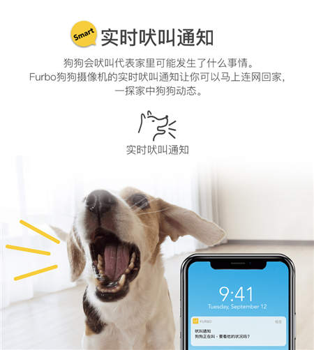 北美暢銷的養(yǎng)狗神器Furbo正式入駐國內(nèi)，開啟智能養(yǎng)寵新時(shí)代
