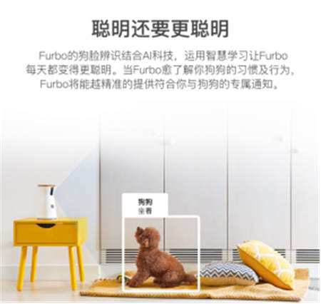 北美暢銷的養(yǎng)狗神器Furbo正式入駐國內(nèi)，開啟智能養(yǎng)寵新時(shí)代