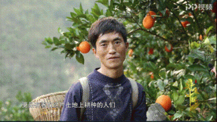 改革開放40周年，蘇寧成“鄉(xiāng)村振興”企業(yè)代言人
