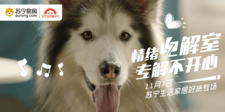 蘇寧雙十一為何刷屏？背后的圈層營銷才是絕密