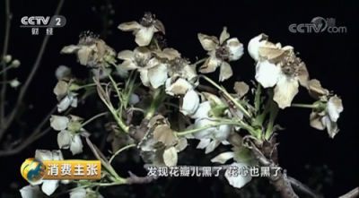 屢獲央視點(diǎn)贊的蘇寧電商扶貧到底是什么樣的？兩個字：造血