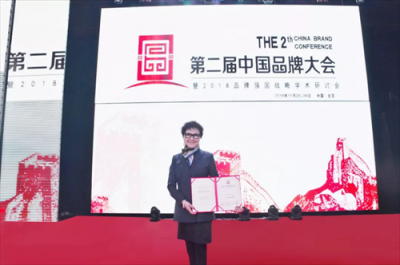 數(shù)鼎科技被中國品牌大會(huì)評為“2018中國匠心品牌”