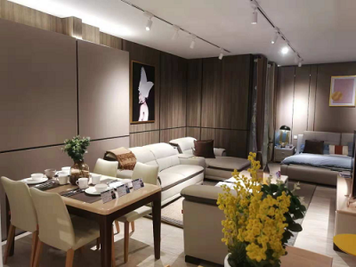 蘇寧智慧零售業(yè)態(tài)再升級(jí)，構(gòu)筑品質(zhì)消費(fèi)增長(zhǎng)新公路