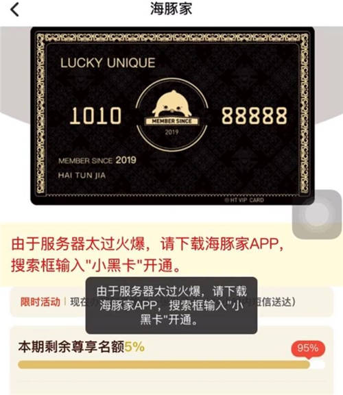 品牌C位計(jì)劃推出，首創(chuàng)海豚家小黑卡吸睛亮相
