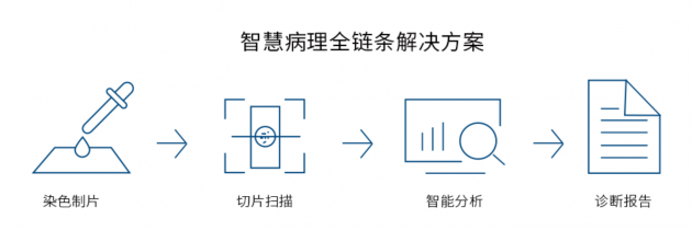 視見科技完成新一輪數(shù)千萬融資，產(chǎn)業(yè)資本助力AI病理加速落地