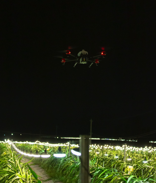 智慧春耕：農業(yè)無人機實現(xiàn)夜間水稻直播、果樹植保