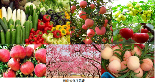 10萬獎(jiǎng)金 全球征集河南農(nóng)產(chǎn)品整體品牌形象