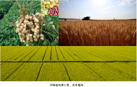 10萬獎(jiǎng)金 全球征集河南農(nóng)產(chǎn)品整體品牌形象