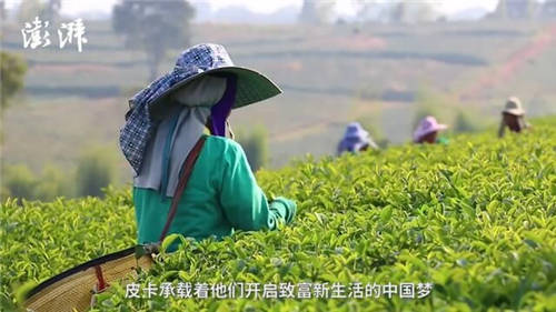 致力打贏脫貧攻堅(jiān)戰(zhàn)，長(zhǎng)城皮卡攜手澎湃新聞啟動(dòng)“物產(chǎn)中國(guó)”