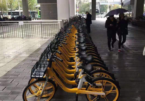斗米奮斗故事之：金牌督導告訴你，選擇適合的工作運氣一定不差