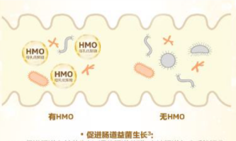 合生元HMO配方奶粉三大強化配方組合，建造更穩(wěn)定的成長壁壘
