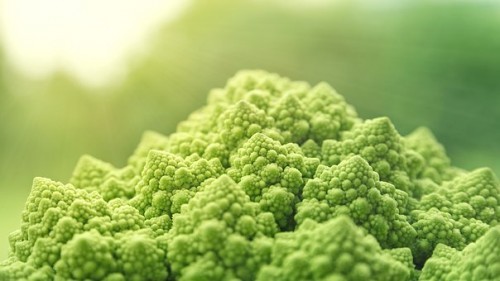 如何補充維生素？不同食物搭配多種維生素礦物質(zhì)片