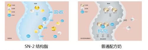sn-2 plus奶粉親和好吸收，解決寶寶喂養(yǎng)難題