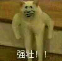 堆料不是目的，拯救者電競(jìng)手機(jī)正式發(fā)布！這些功能好強(qiáng) 才3499元起