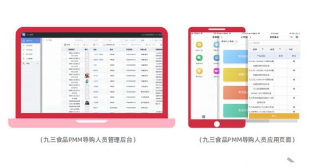 玄訊洞見｜“數(shù)字化”導購大翻身，且看九三食品如何利用數(shù)字化賦能導購管理？