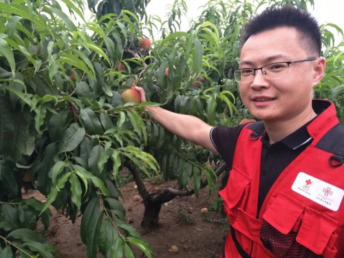 美菜網(wǎng)志愿者回鄉(xiāng)助農(nóng)，助力鄉(xiāng)村振興
