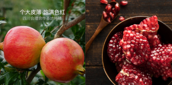 互聯(lián)網(wǎng)新農(nóng)業(yè)，網(wǎng)易嚴(yán)選“尋味中國(guó)”扶持中國(guó)品質(zhì)農(nóng)貨