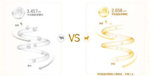 羊奶粉好還是牛奶粉好？寶媽親證適合寶寶的才是最好的