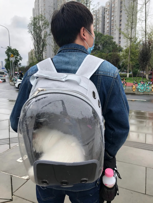 抖inCity進(jìn)階的兩年，一場(chǎng)人與城的奇妙之旅