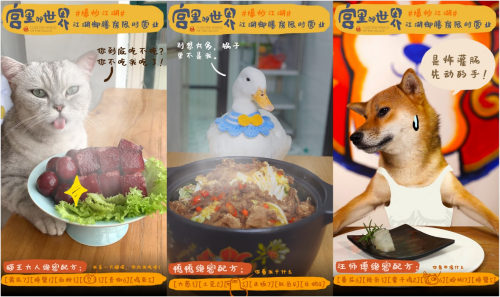 用味蕾打開“宮里的世界”，《爆炒江湖》全新聯(lián)動版本上線
