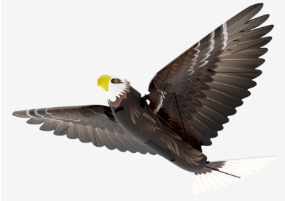 漢王仿生撲翼鳥Go Go Bird1000亮相上海玩博會，與萌娃共享仿生AI盛宴！