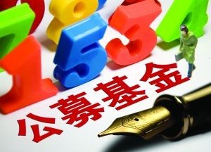 嘉實(shí)基金多只產(chǎn)品凈值翻倍，公募基金長期賺錢效應(yīng)凸顯