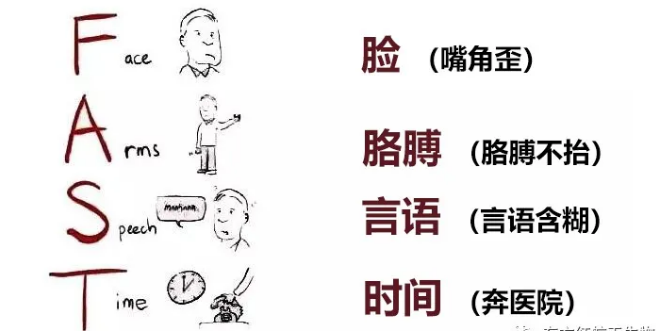 世界卒中日，東方紅航天生物帶你了解腦卒中是如何發(fā)生的