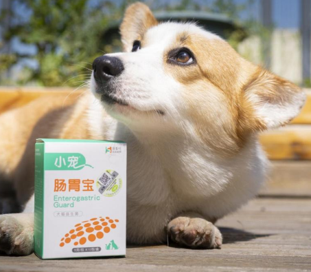 寵物益生菌什么牌子好？看專業(yè)寵物益生菌領(lǐng)頭者小寵腸胃寶