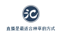 直播間里的“花花世界”：一顆多肉賣到14萬，小眾愛好也能做成大生意