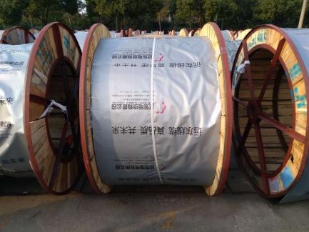 遠(yuǎn)東控股為白鶴助飛，白鶴灘水電站中的遠(yuǎn)東力量